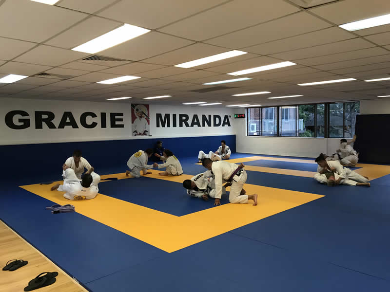 brazilian jiu jitsu gi rolling gracie miranda