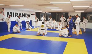 gracie jiu jitsu miranda BJJ training