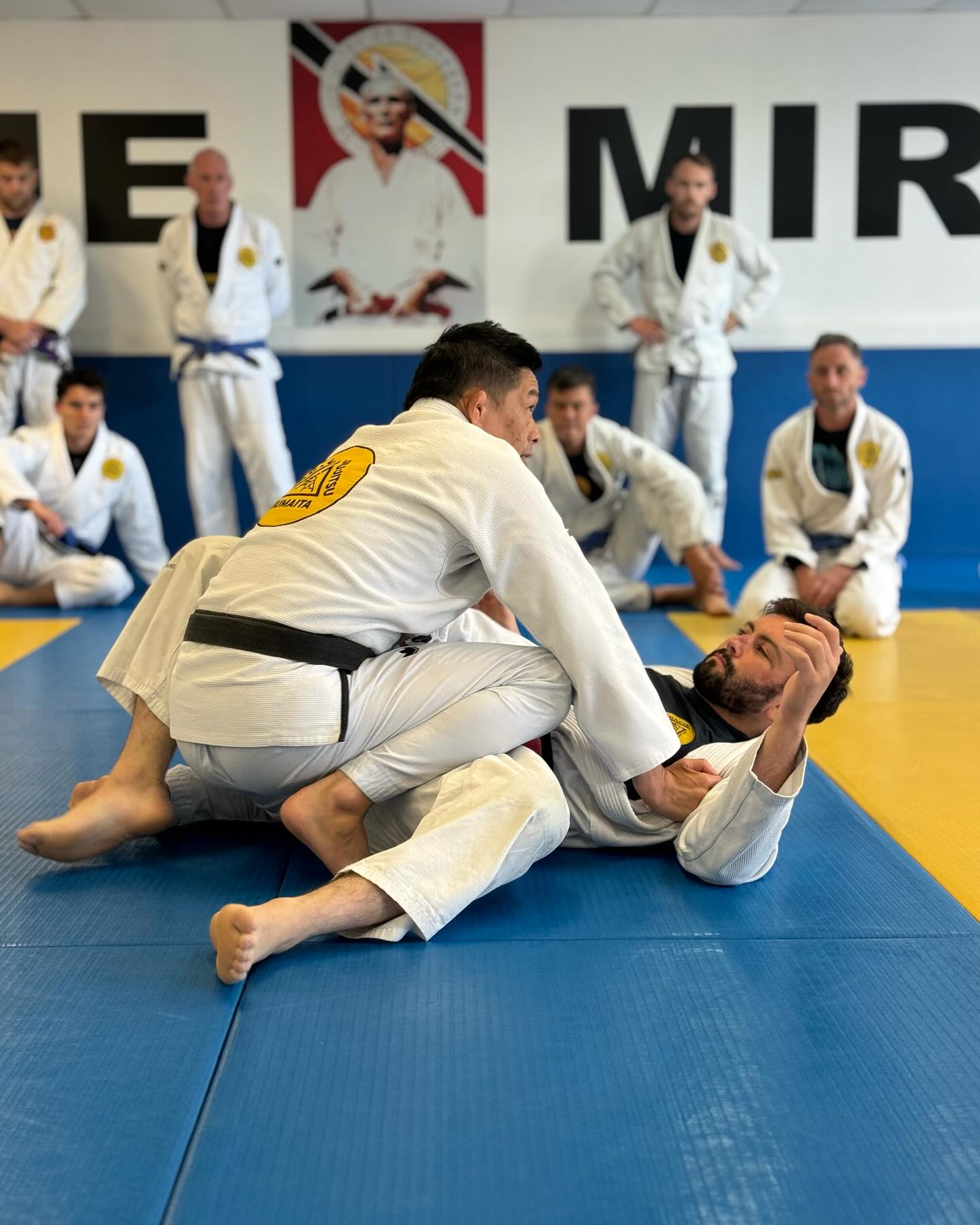 gracie miranda brazilian jiu-jitsu instructors techniques