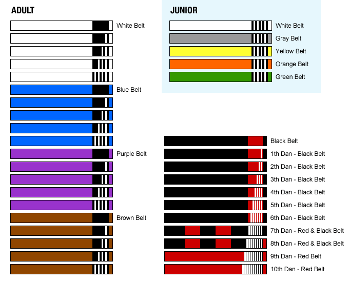 bjj belt system